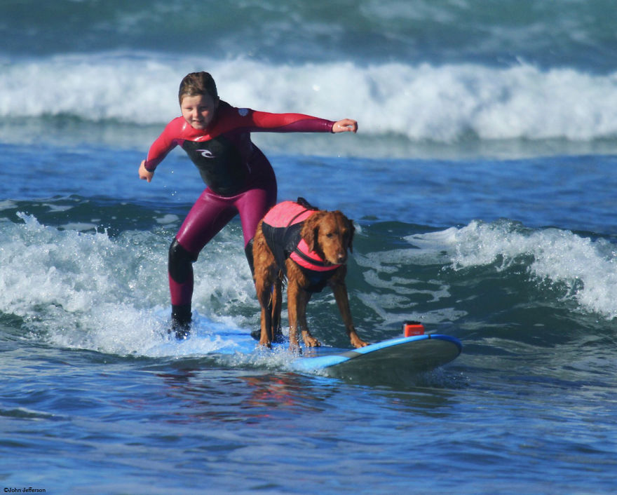 My Therapy Dog Ricochet Surfs With People With Disabilities, Helping Them Heal My Therapy Dog Ricochet Surfs With People With Disabilities, Helping Them Heal