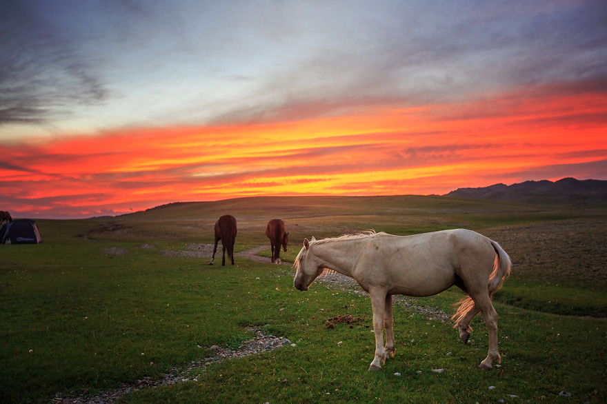 I Crossed Kyrgyzstan With 2 Horses In 6 Weeks I Crossed Kyrgyzstan With 2 Horses In 6 Weeks