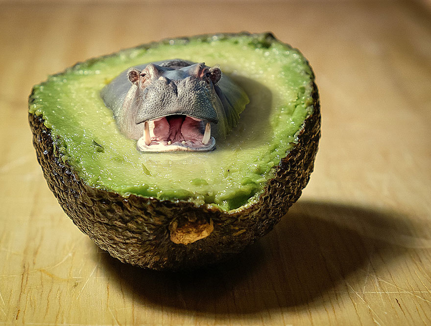 I Make Surreal Composites Out Of My Own Photos