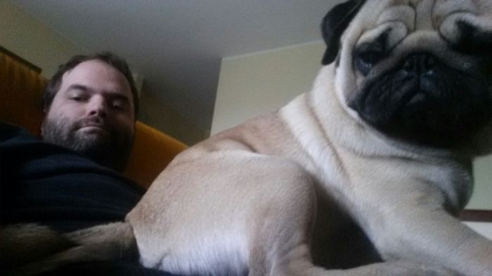 Monster Pug On The Couch