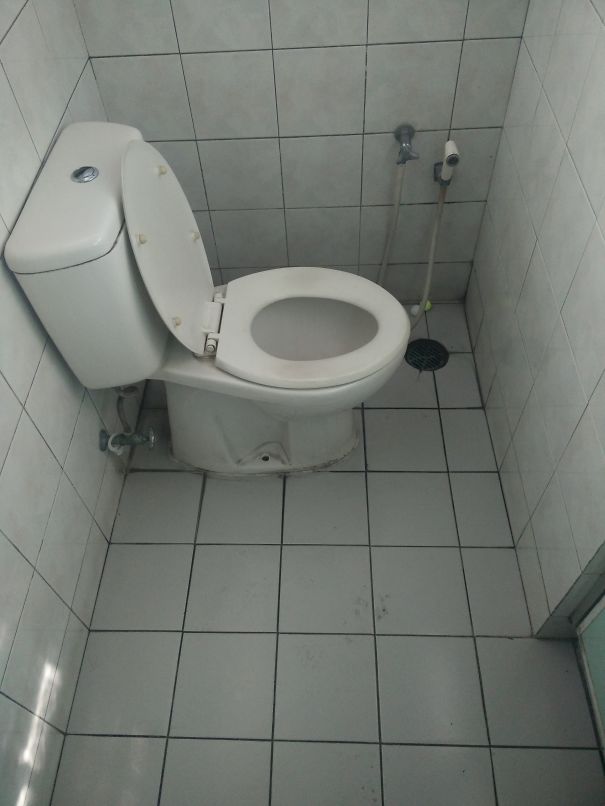 Why? Why It Facing That Way?? Why???