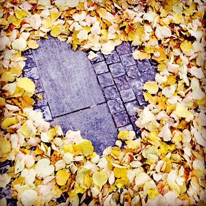 marketa_broulova avatar