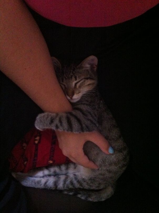 My Human Won't Run Away...