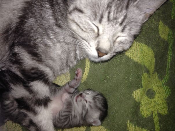 Worn Out New Mother.