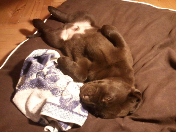 Almost Perfect Camouflage