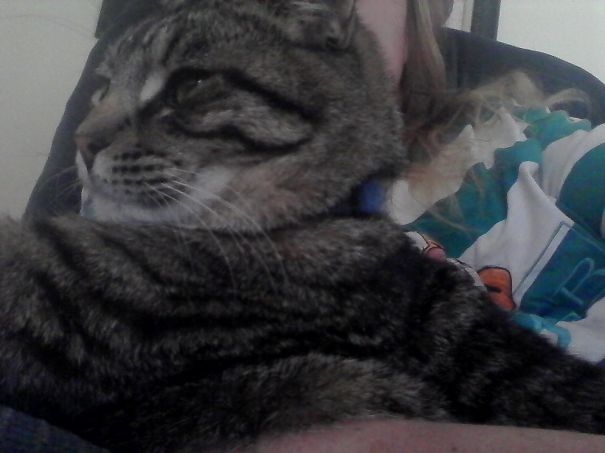 My Happy Happy Peanut