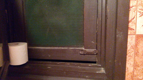 No Mosquitos Please :)