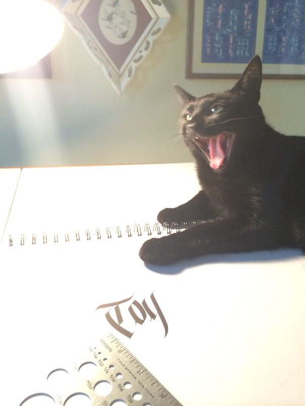 Ziva Laughing At Her Dad!