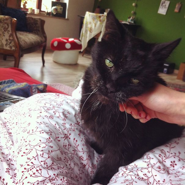 My New Roomie 18 Year Old Mr. Salem Schmusel