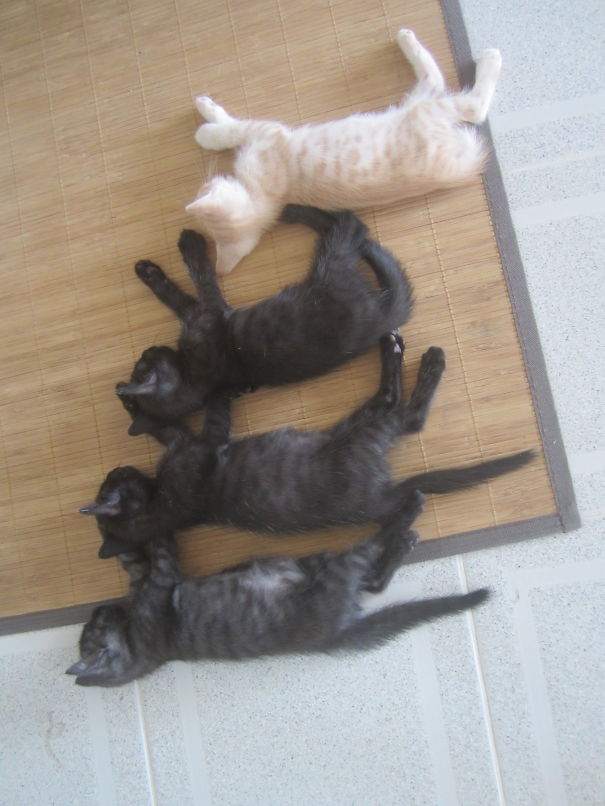 Sleepwalking Choreography