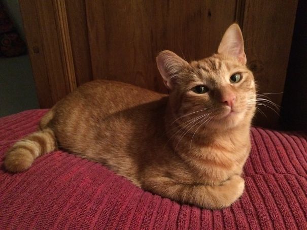 Ms. Kirby 'of Orange'