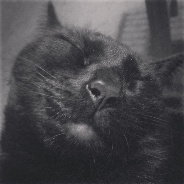 Siva Having A Pleasant Dream...