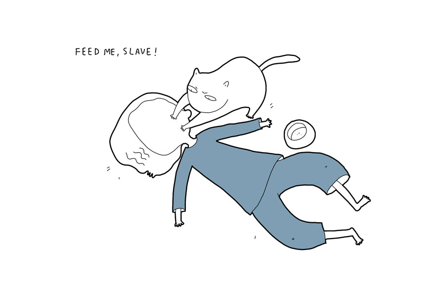 If My Cat Could Speak