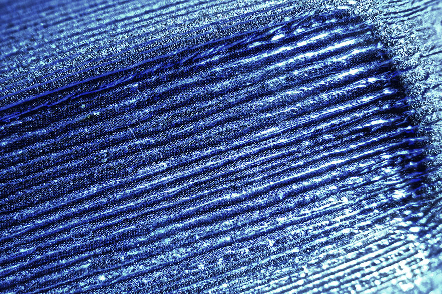 Mysterious Transparency: I Photograph Simple Objects To Show Their Uniqueness Mysterious Transparency: I Photograph Simple Objects To Show Their Uniqueness