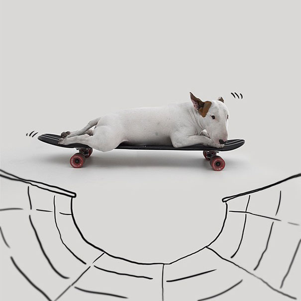 My Wife Left Me With Nothing But A Dog, So I Started This Fun Photo Series