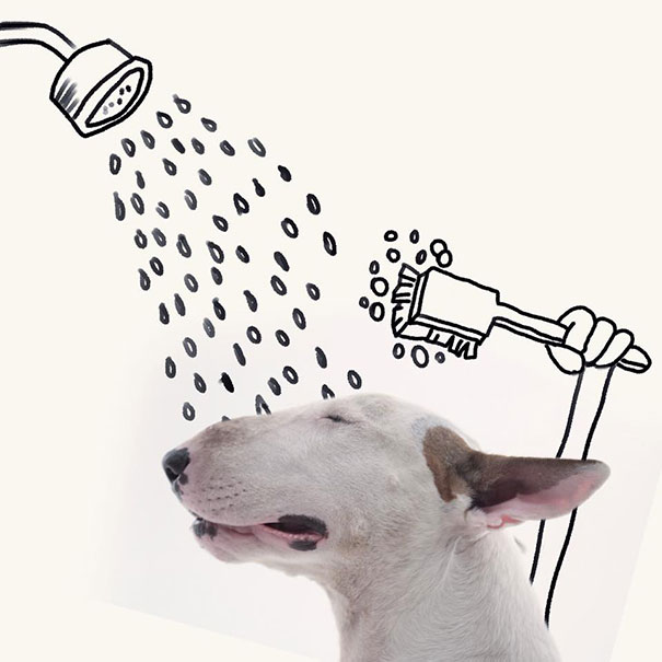 My Wife Left Me With Nothing But A Dog, So I Started This Fun Photo Series