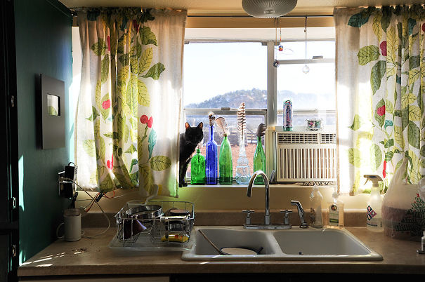 I'm Not Even Sure How Old Josie Is, But She Was At Least 13 When I Adopted Her Years Ago....