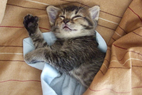 Morning Cuddle With Mallory