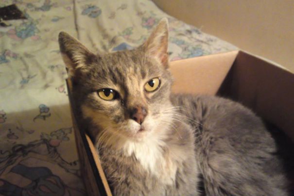 I Rescued My 10+ Year Old Friend From The Streets A Year And A Half Ago. She Passed Away Last M