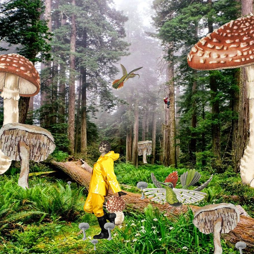 Elenore's Adventures In A World Of Collages Elenore's Adventures In A World Of Collages