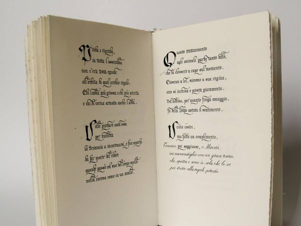 My Boyfriend Writes, Draws And Binds His Books At Home My Boyfriend Writes, Draws And Binds His Books At Home