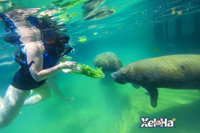 Bucket List: Saying Yes To Life Has Changed My Life Completely