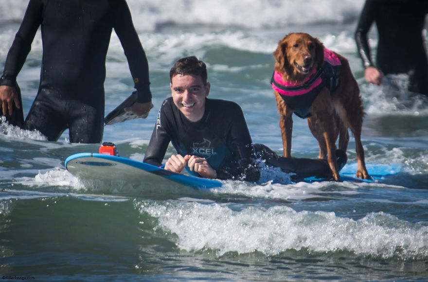 My Therapy Dog Ricochet Surfs With People With Disabilities, Helping Them Heal My Therapy Dog Ricochet Surfs With People With Disabilities, Helping Them Heal