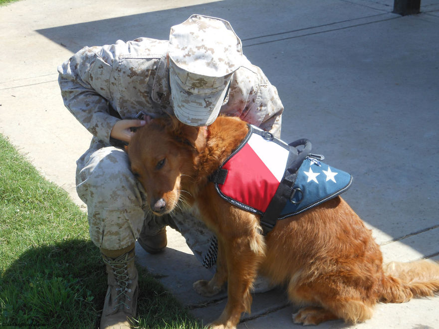 My Therapy Dog Ricochet Surfs With People With Disabilities, Helping Them Heal My Therapy Dog Ricochet Surfs With People With Disabilities, Helping Them Heal