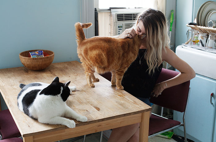 I Photograph Girls And Their Adopted Cats I Photograph Girls And Their Adopted Cats