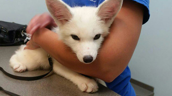 My Two Cute Troublemakers Odin And Frigga My Two Cute Troublemakers Odin And Frigga