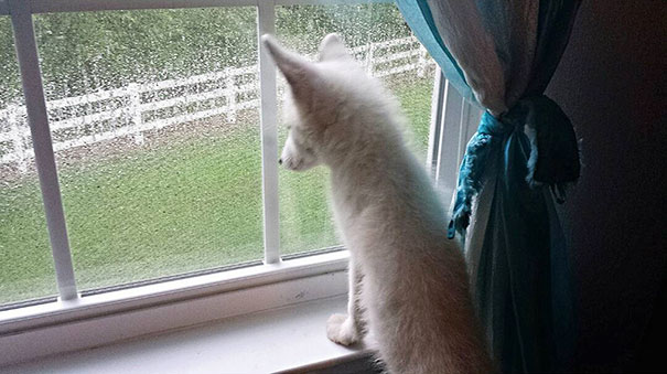 My Two Cute Troublemakers Odin And Frigga My Two Cute Troublemakers Odin And Frigga