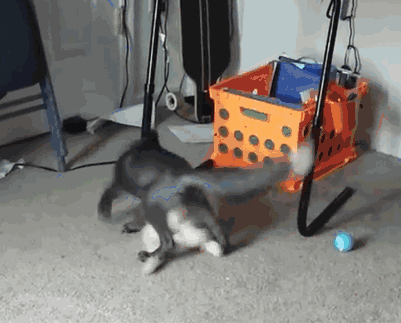 My Two Cute Troublemakers Odin And Frigga