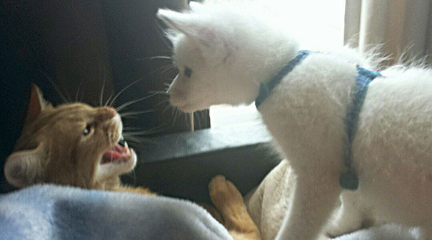 My Two Cute Troublemakers Odin And Frigga My Two Cute Troublemakers Odin And Frigga