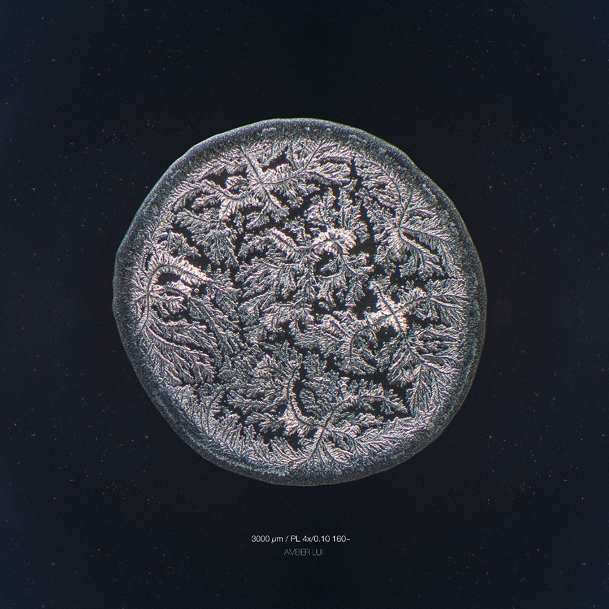 I Photograph Tears To Show That Each Tear Is Unique And Beautiful I Photograph Tears To Show That Each Tear Is Unique And Beautiful