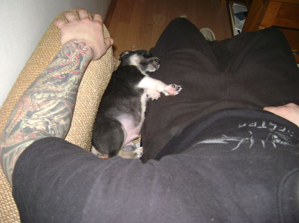 Voodoo Loves To Sleep!