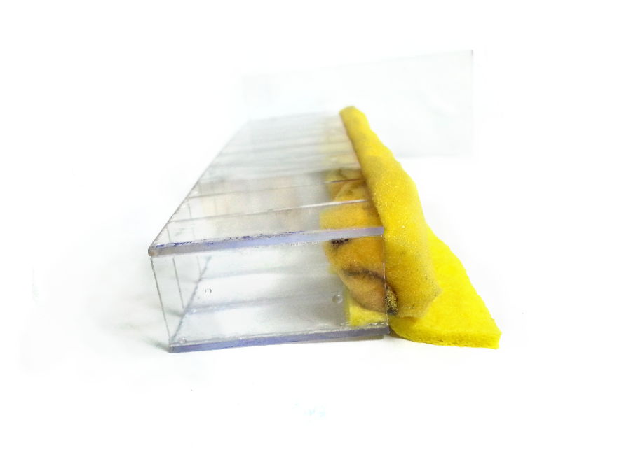 I Made A DIY Rainbow Roller Inspired By Nyan Cat I Made A DIY Rainbow Roller Inspired By Nyan Cat