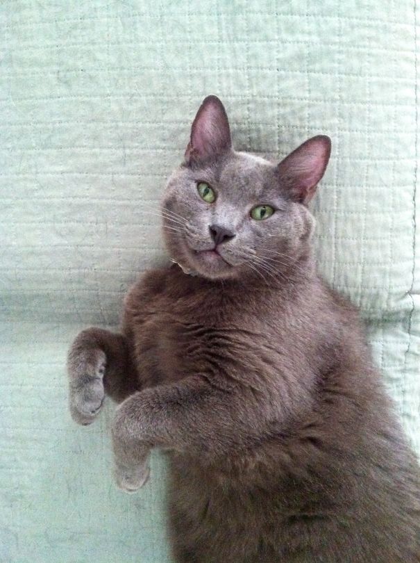 Handsome Sam Smiles...