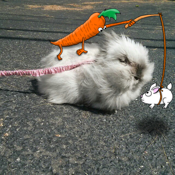 I Add Doodles To Strangers’ Instagram Photos I Add Doodles To Strangers’ Instagram Photos