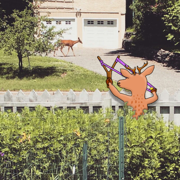 I Add Doodles To Strangers’ Instagram Photos