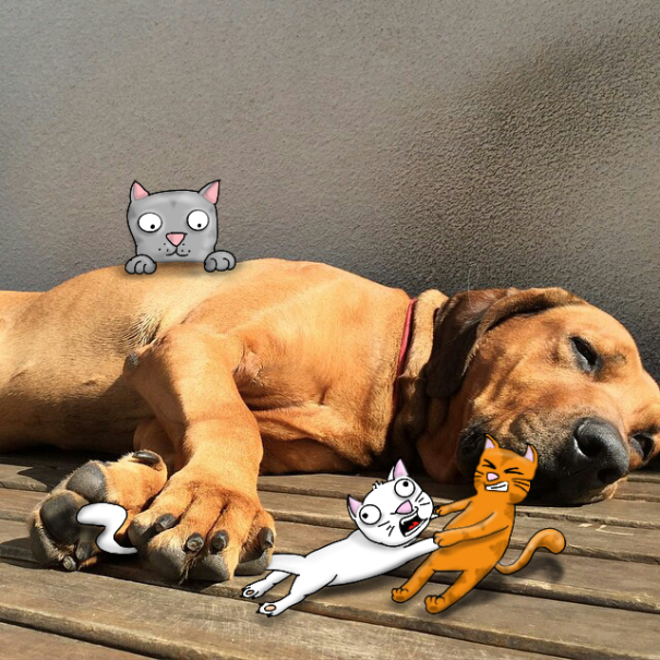 I Add Doodles To Strangers’ Instagram Photos I Add Doodles To Strangers’ Instagram Photos