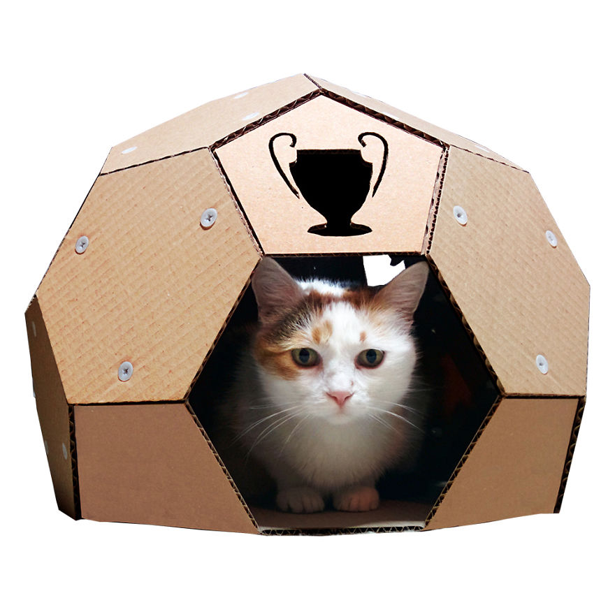 Creative Cat Houses Made From Cardboard