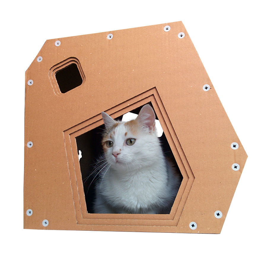 Creative Cat Houses Made From Cardboard
