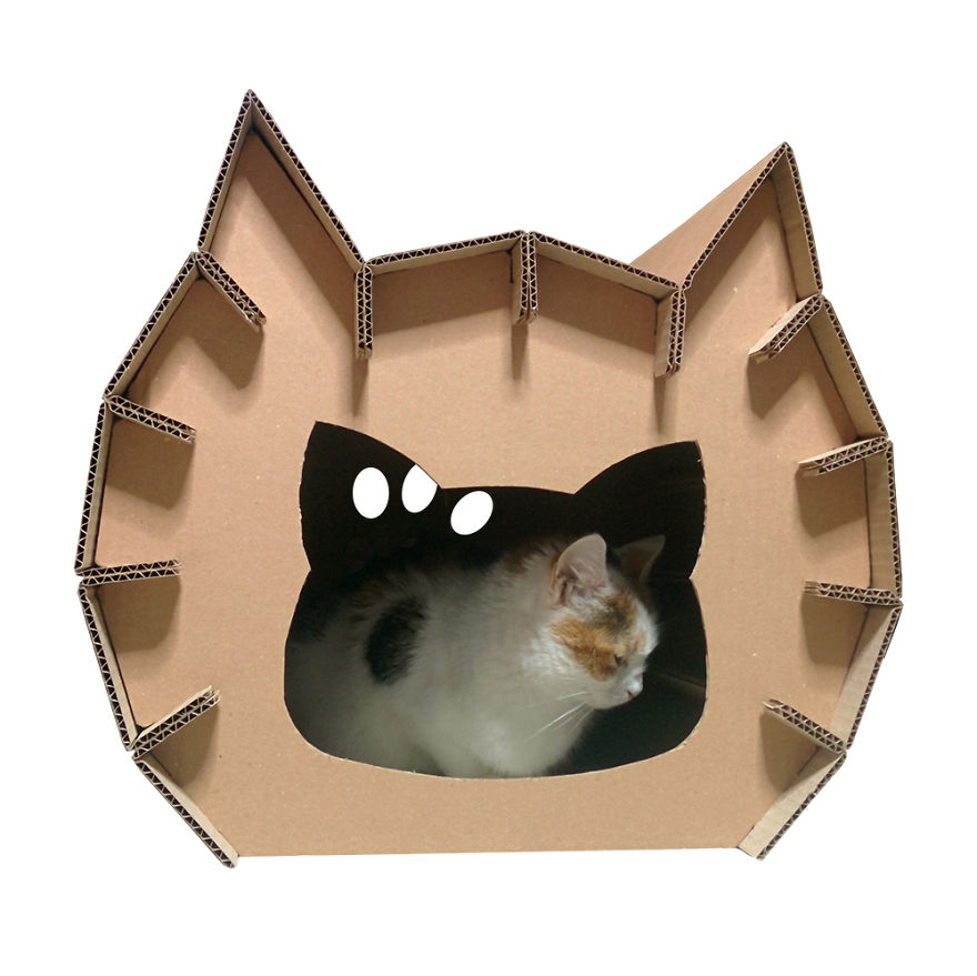 Creative Cat Houses Made From Cardboard