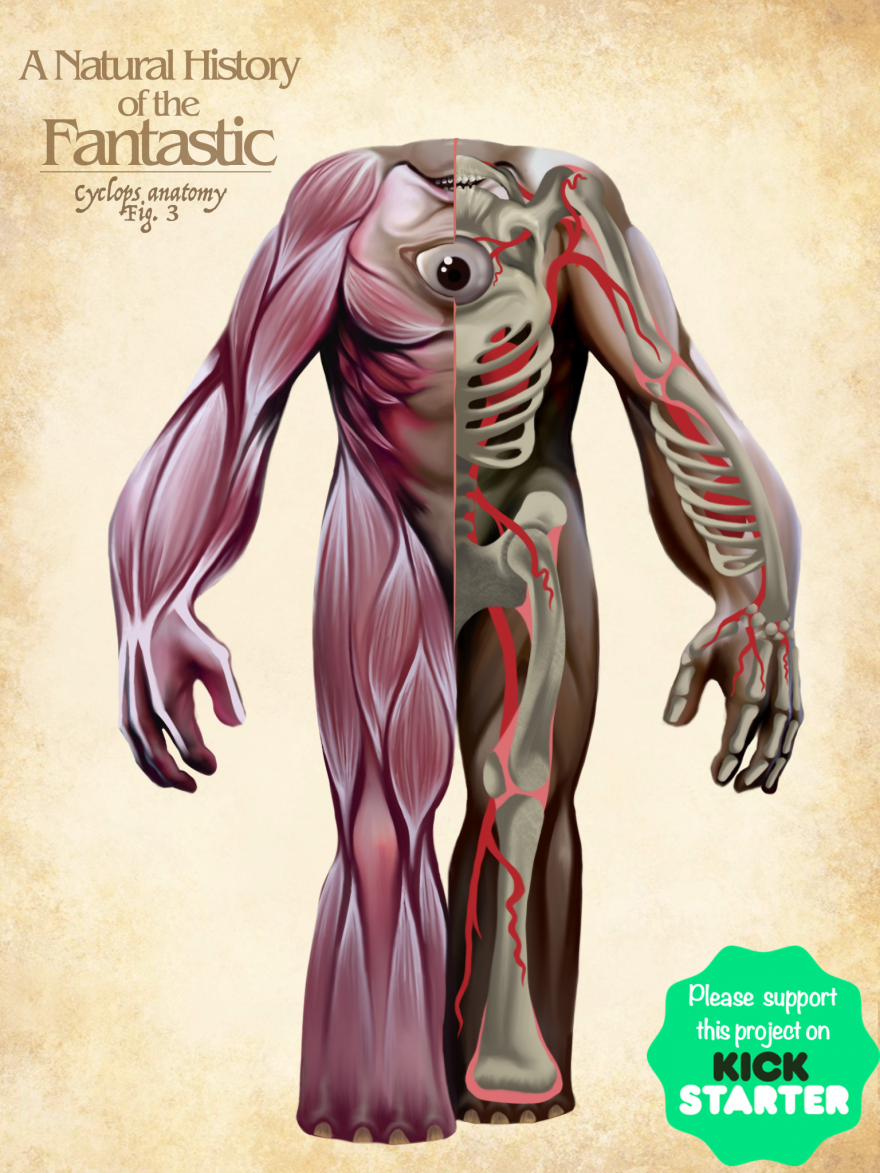 The Anatomy Of Fantasy Creatures