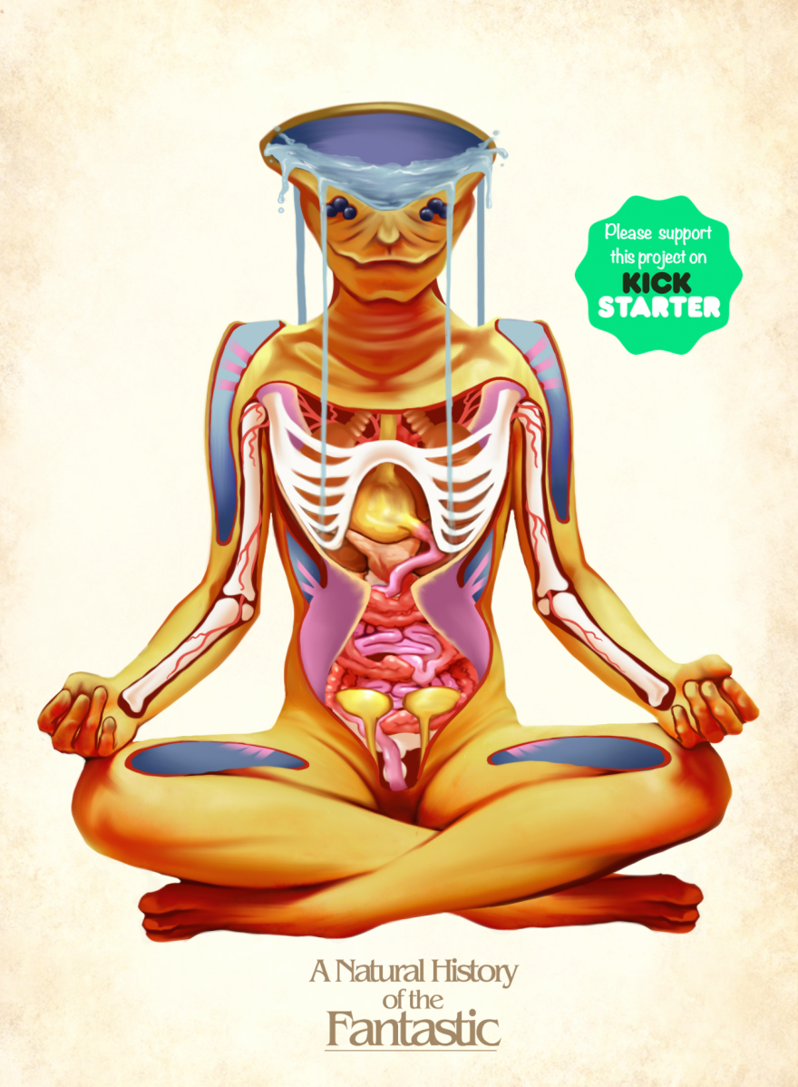 The Anatomy Of Fantasy Creatures