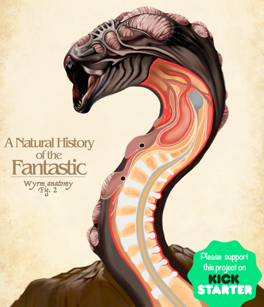 The Anatomy Of Fantasy Creatures The Anatomy Of Fantasy Creatures