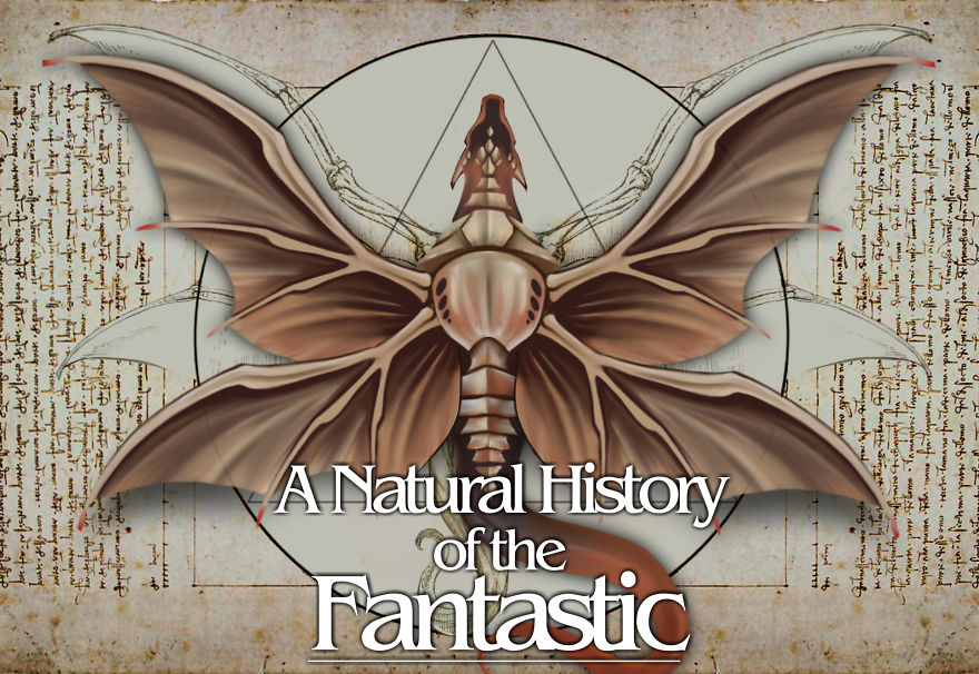 The Anatomy Of Fantasy Creatures The Anatomy Of Fantasy Creatures