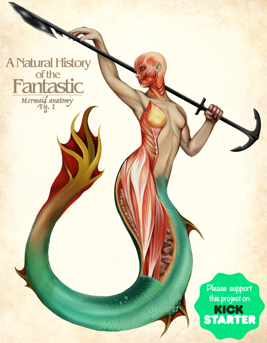 The Anatomy Of Fantasy Creatures The Anatomy Of Fantasy Creatures