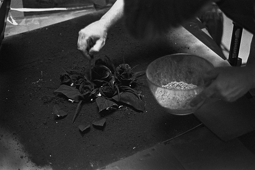 We Created A Bouquet Of Burning Roses We Created A Bouquet Of Burning Roses