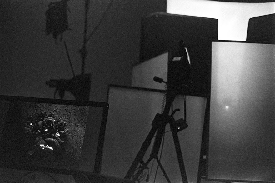 We Created A Bouquet Of Burning Roses We Created A Bouquet Of Burning Roses